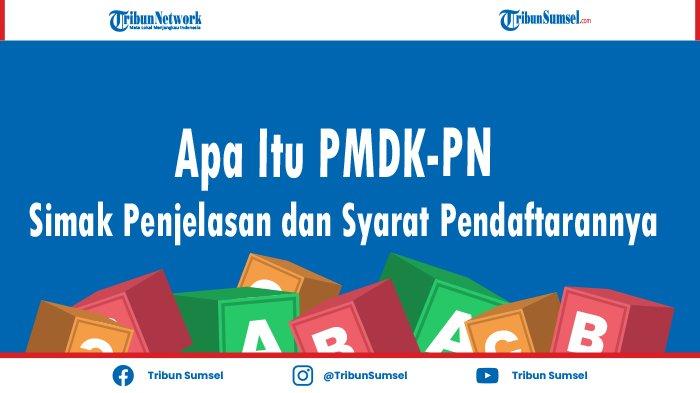 apa itu pmdk illustration
