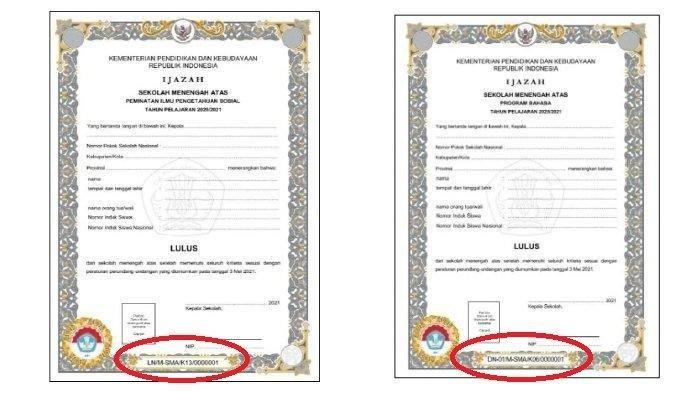 cek nomor ijazah sma illustration
