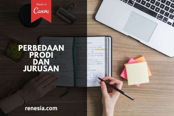 perbedaan prodi dan jurusan illustration